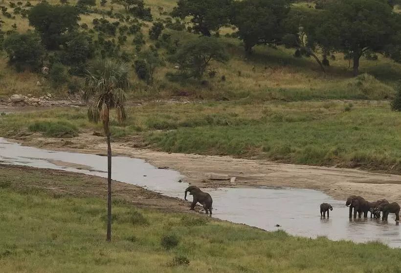هتل Karatu Tented Lodge