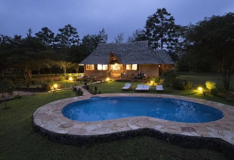 Отель Karatu Tented Lodge