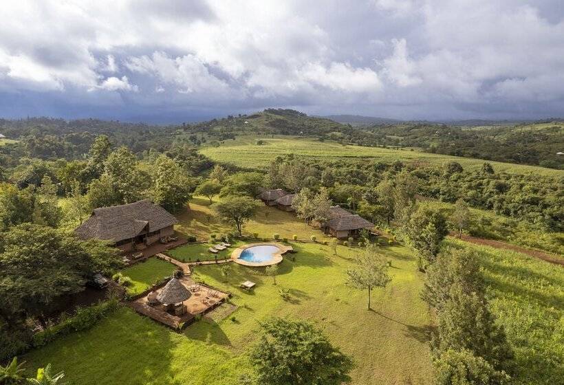 Отель Karatu Tented Lodge