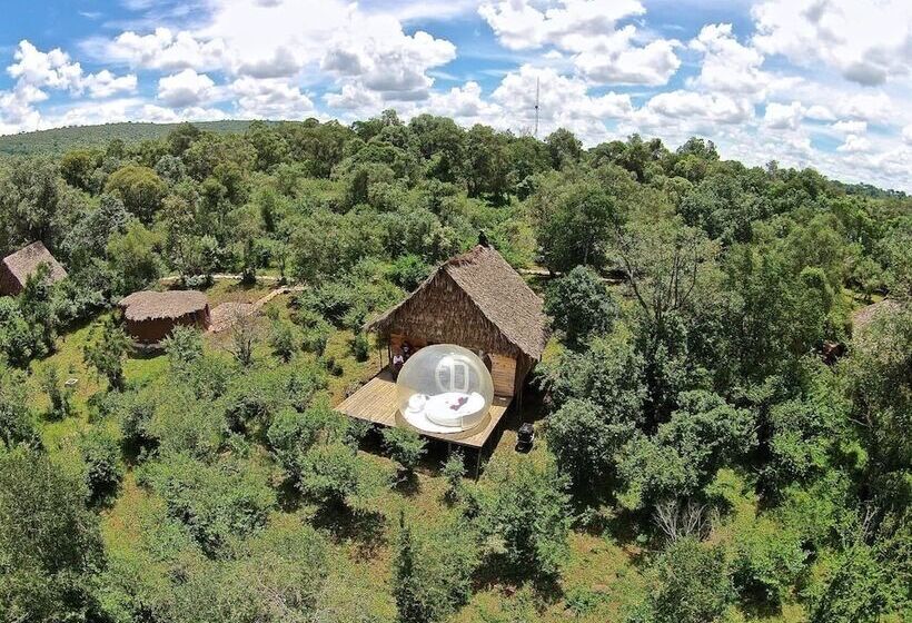 هتل Nyota Mara Lodge