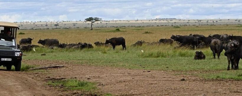 هتل Nyota Mara Lodge