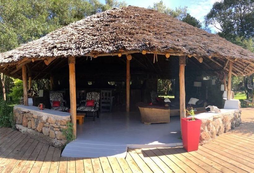هتل Nyota Mara Lodge