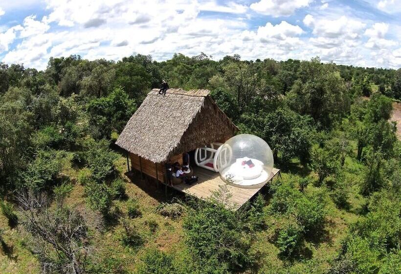 هتل Nyota Mara Lodge