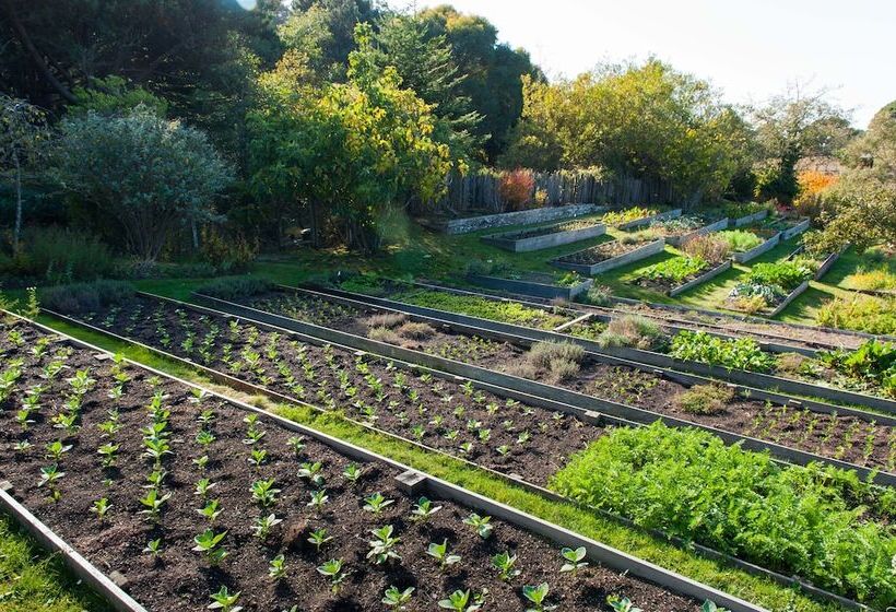 Отель The Stanford Inn By The Sea Eco Resort