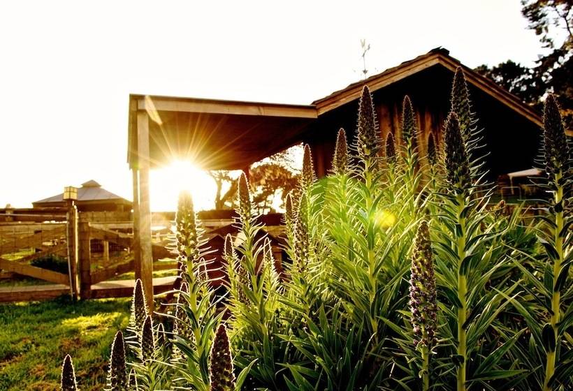 Отель The Stanford Inn By The Sea Eco Resort