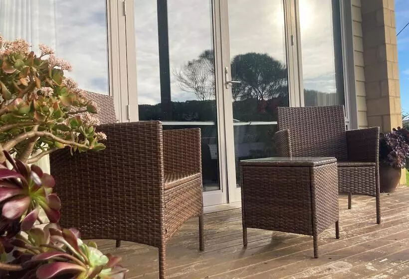 Общежитие Sow And Piglets Guesthouse