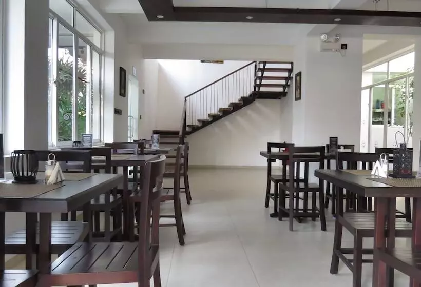 Bed & Breakfast Chapelton House