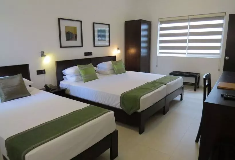 Bed & Breakfast Chapelton House