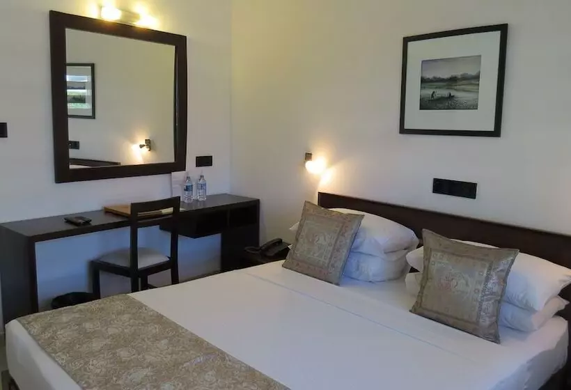 Bed & Breakfast Chapelton House