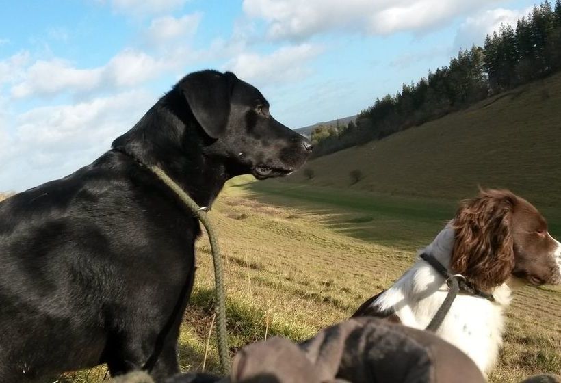 צימר Westover House