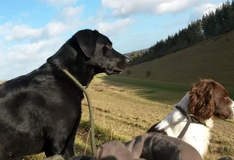 צימר Westover House