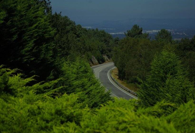 Отель Apartamentos Rock Star