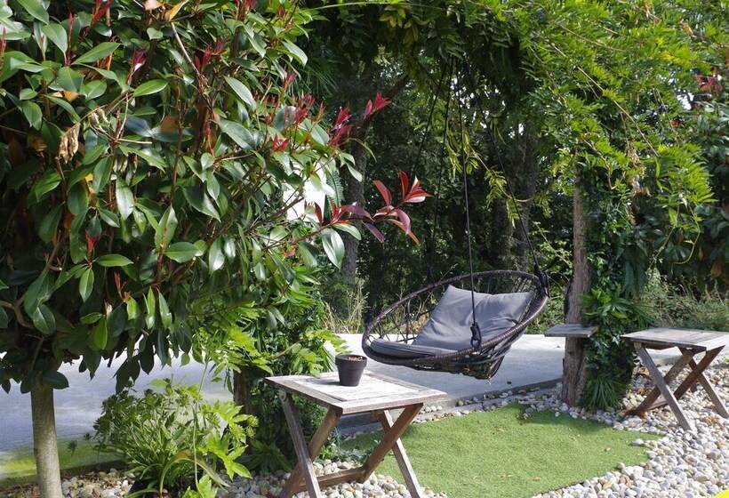 Отель Apartamentos Rock Star