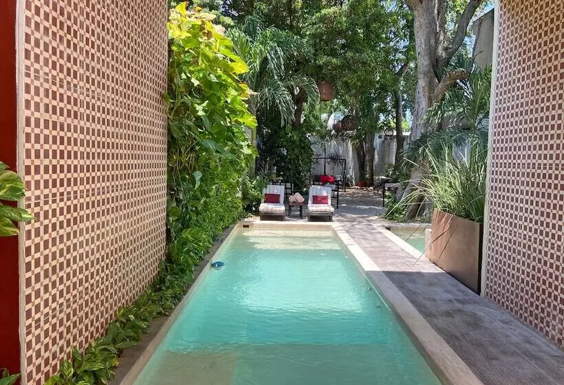 هتل Casa Italia Luxury Guest House  Adults Only