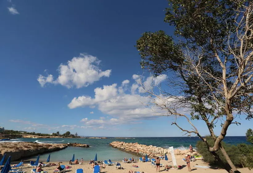 ホテル Mimosa Beach