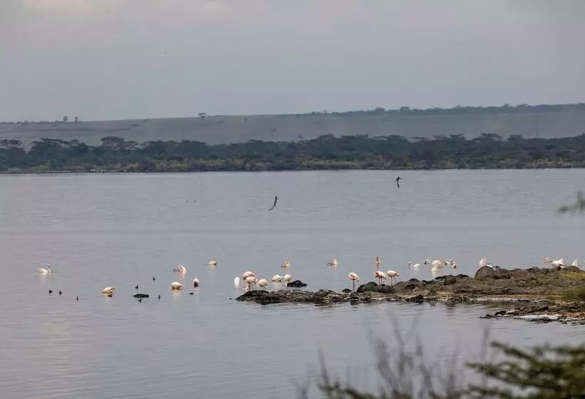 هتل Sentrim Elementaita Lodge