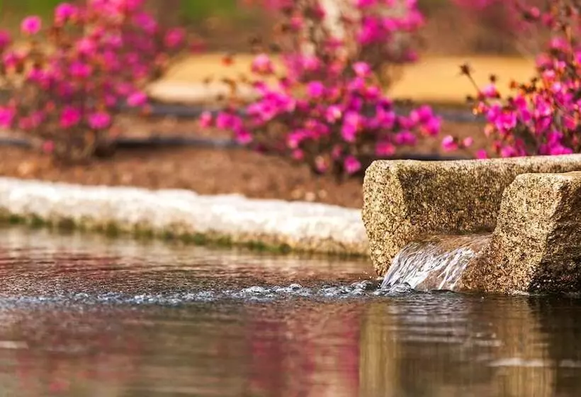 فندق Torre de Gomariz Wine & Spa