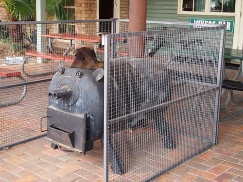 Motel Lightning Ridge Outback Resort & Caravan Park