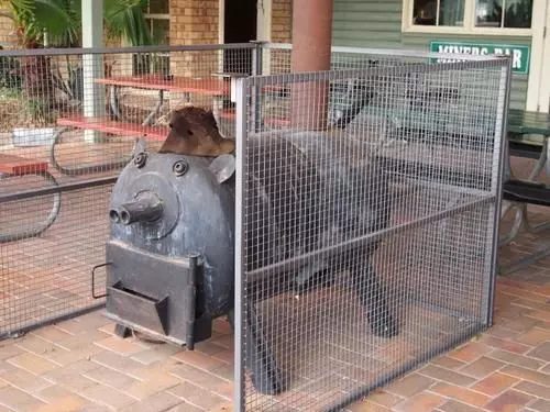 فندق على الطريق Lightning Ridge Outback Resort & Caravan Park