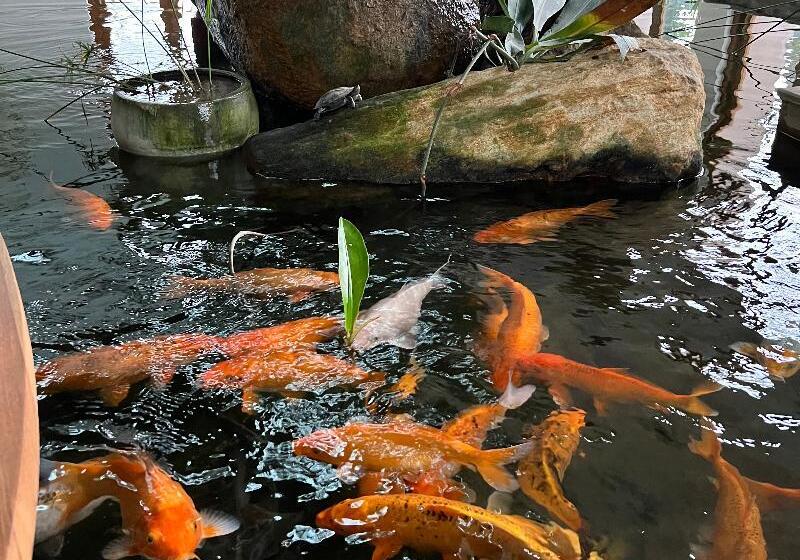 בית מלון כפרי Oceanfronts Apartments