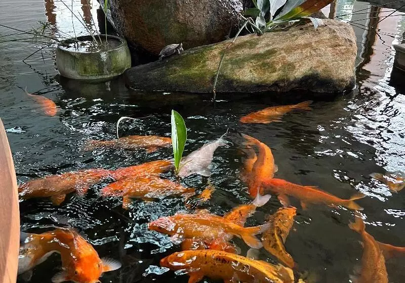 ホテル Oceanfronts Apartments