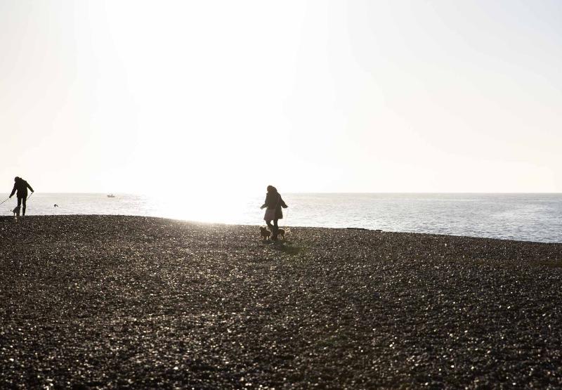 酒店 The Relais Cooden Beach