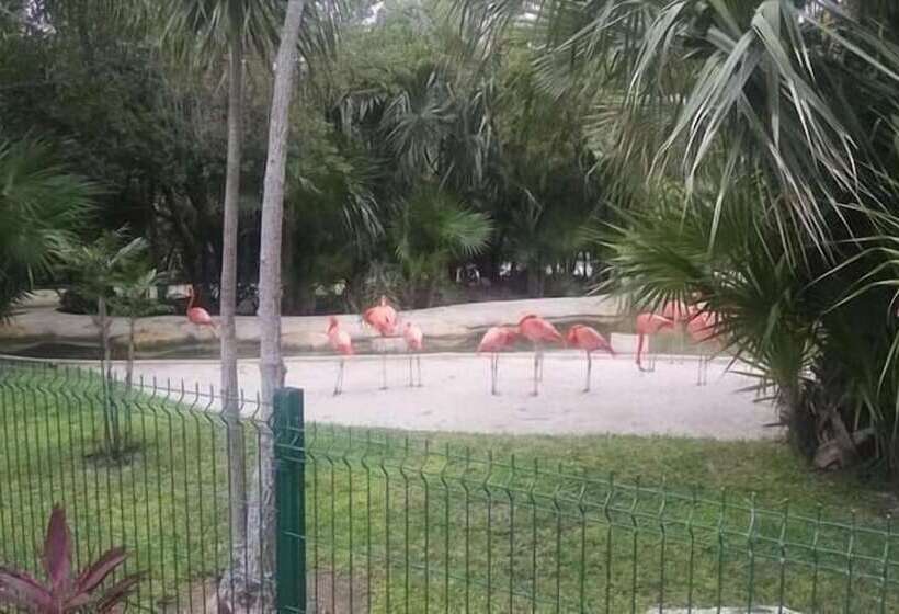 호텔 Vidan Riviera Maya