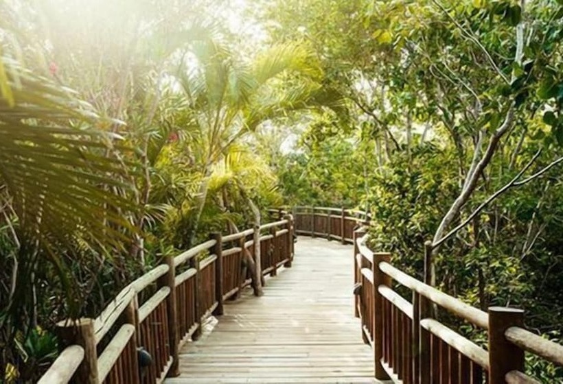 호텔 Vidan Riviera Maya