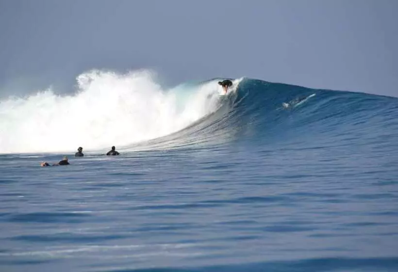 Auberge Hôtelière Ratu Kini Backpackers & Dive Resort