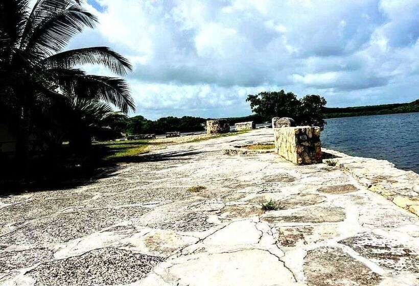 هتل Ellen Bay Inn