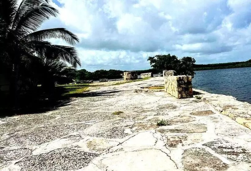 هتل Ellen Bay Inn