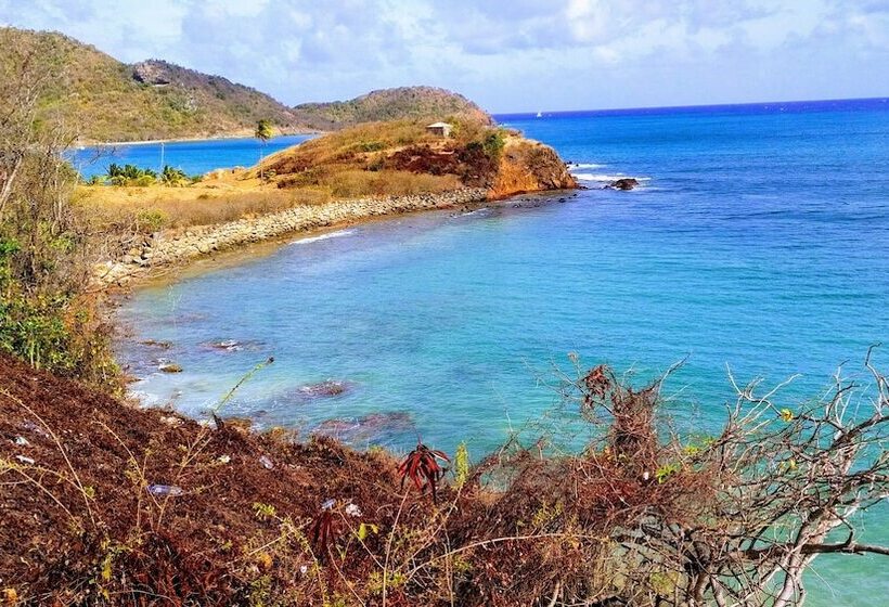 هتل Ellen Bay Inn