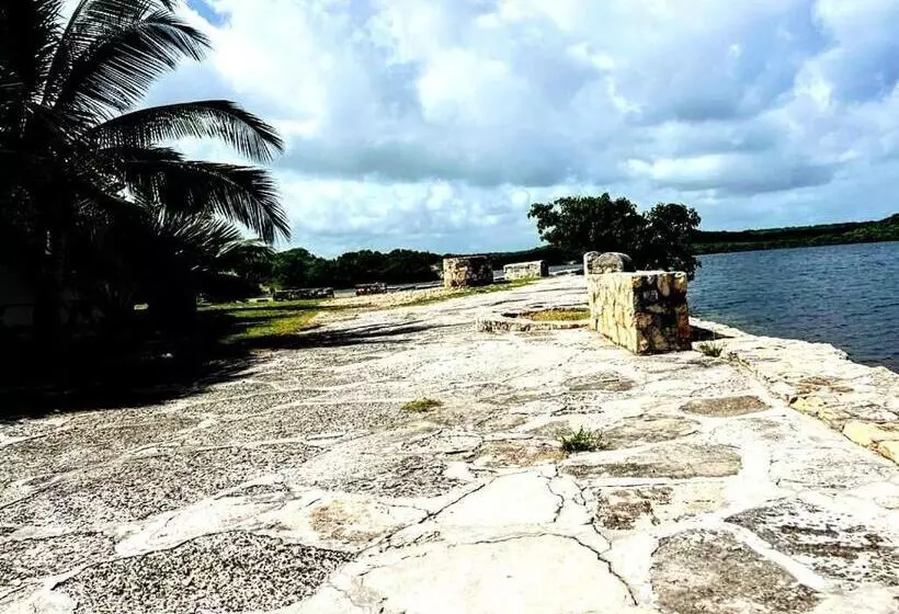 هتل Ellen Bay Inn