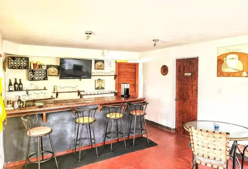 هتل Ellen Bay Inn