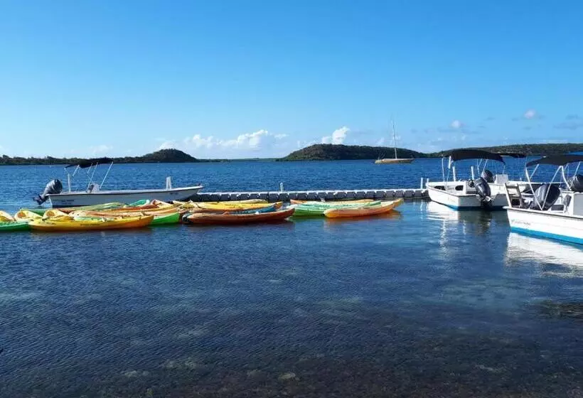 هتل Ellen Bay Inn