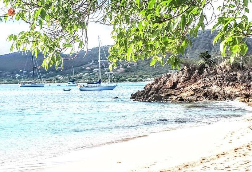 هتل Ellen Bay Inn