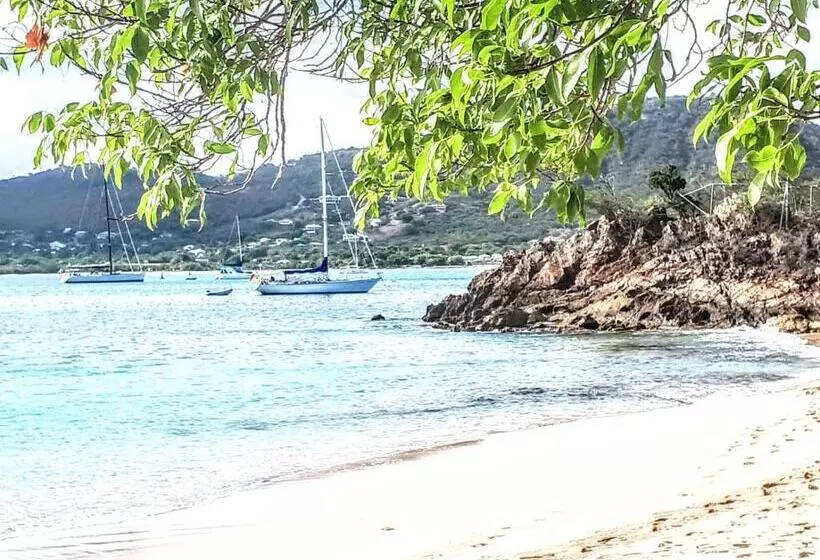 هتل Ellen Bay Inn