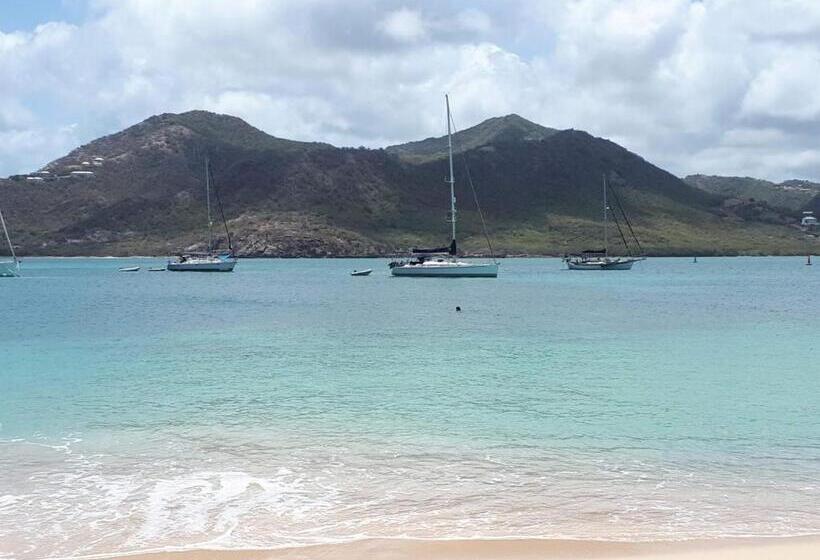 هتل Ellen Bay Inn