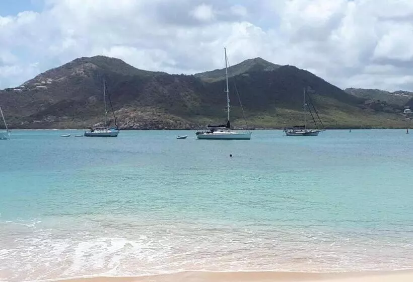 هتل Ellen Bay Inn