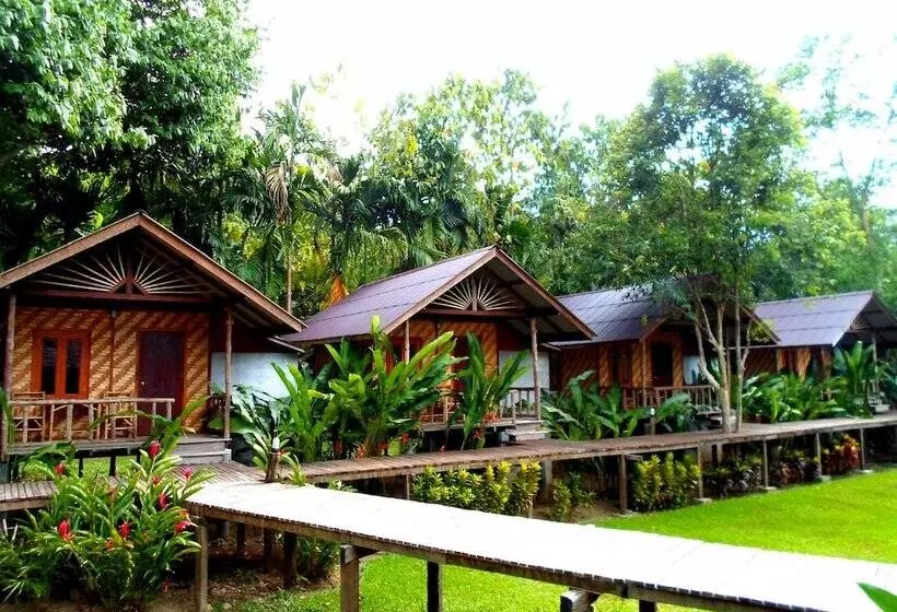 Отель Khao Sok Cabana Resort