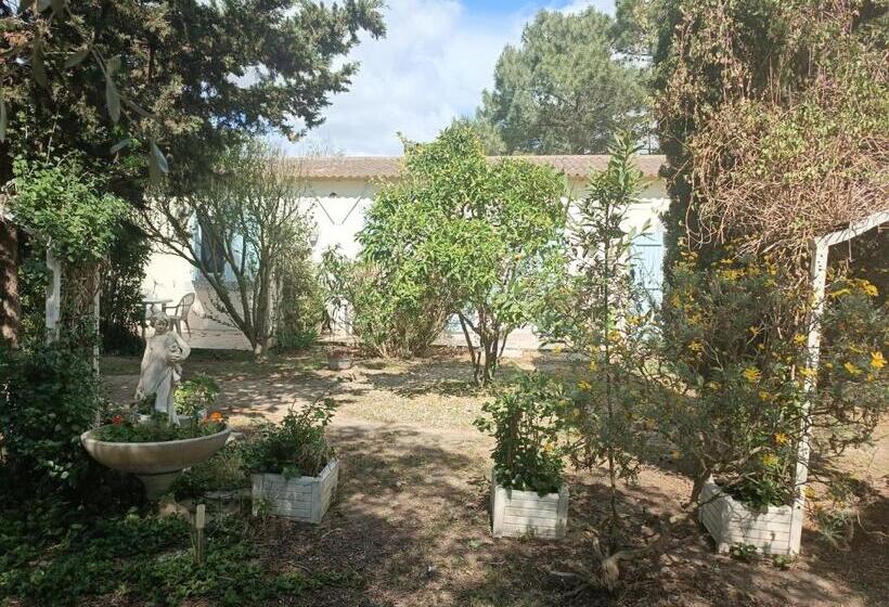 ホテル Mas Des Pins