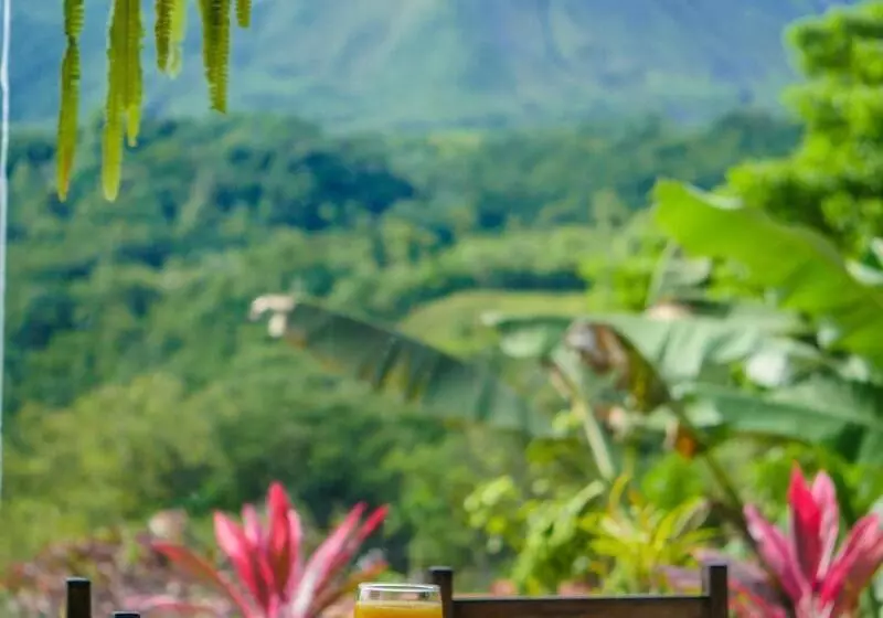 Miradas Arenal Hotel & Hotsprings