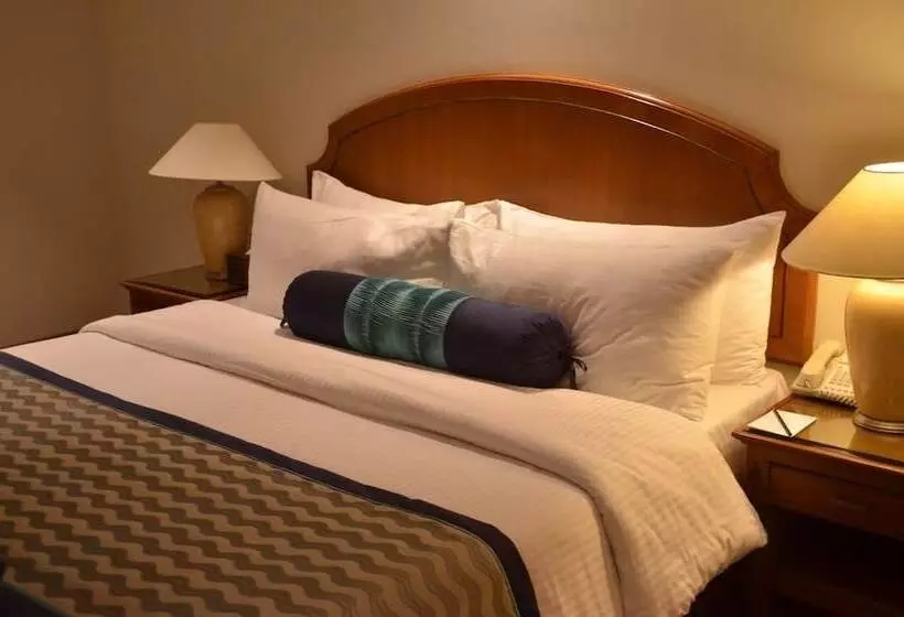 酒店 The Lalit Traveller Jaipur