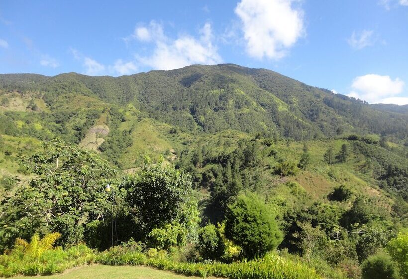 استراحتگاه Starlight Chalet