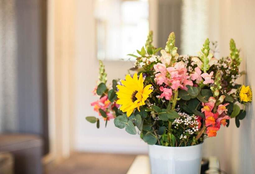 Eendracht Apartments