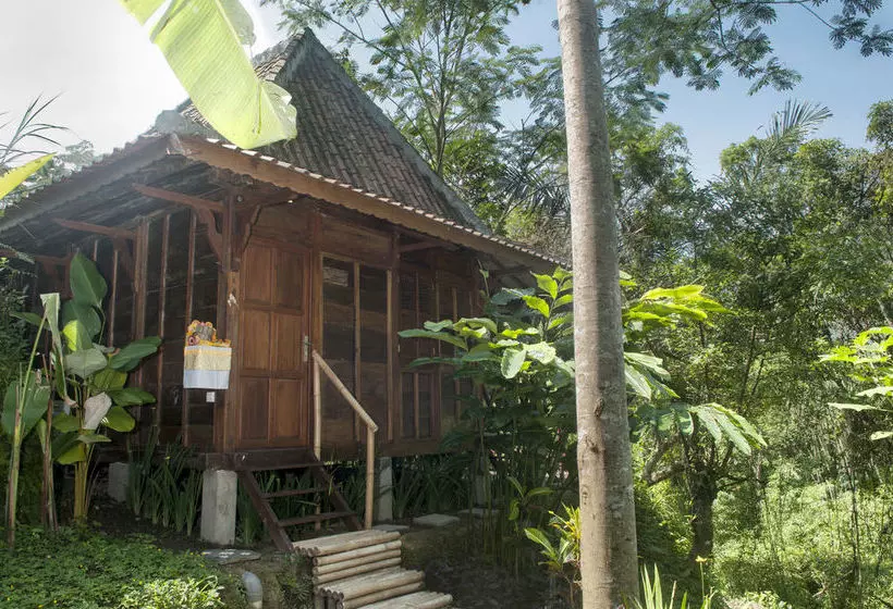 酒店 Dd Ubud Villa