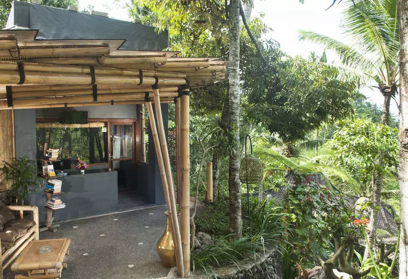 酒店 Dd Ubud Villa