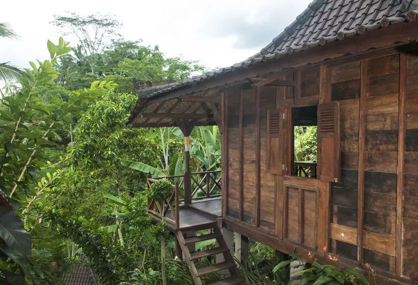 酒店 Dd Ubud Villa
