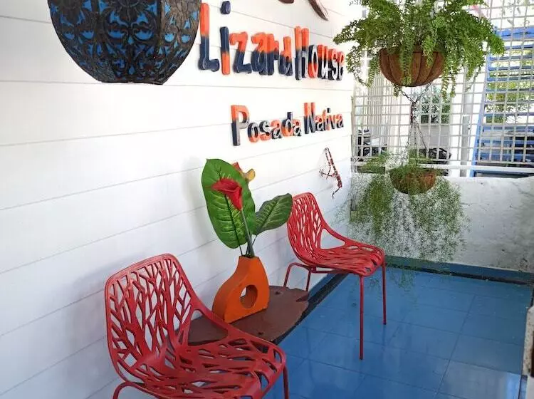 Hotel Posada Nativa Lizard House