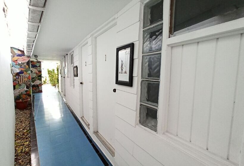 هتل Posada Nativa Lizard House